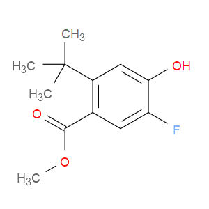 methyl 2-(tert-butyl)-5-fluoro-4-hydroxybenzoate