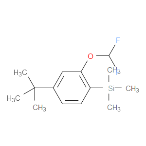 (4-(tert-butyl)-2-(difluoromethoxy)phenyl)trimethylsilane
