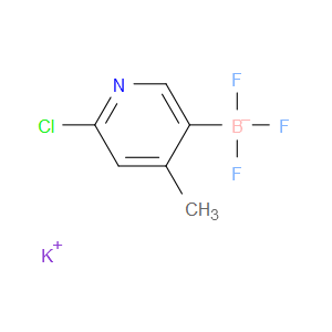 potassium (6-chloro-4-methylpyridin-3-yl)trifluoroborate