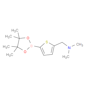 N,N-dimethyl-1-(5-(4,4,5,5-tetramethyl-1,3,2-dioxaborolan-2-yl)thiophen-2-yl)methanamine