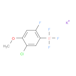 potassium (5-chloro-2-fluoro-4-methoxyphenyl)trifluoroborate