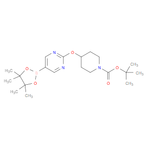 tert-butyl 4-((5-(4,4,5,5-tetramethyl-1,3,2-dioxaborolan-2-yl)pyrimidin-2-yl)oxy)piperidine-1-carboxylate
