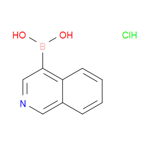 isoquinolin-4-ylboronic acid hydrochloride