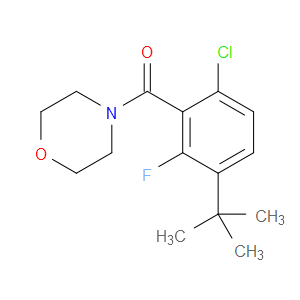 (3-(tert-butyl)-6-chloro-2-fluorophenyl)(morpholino)methanone