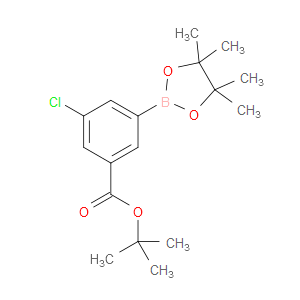 tert-butyl 3-chloro-5-(4,4,5,5-tetramethyl-1,3,2-dioxaborolan-2-yl)benzoate
