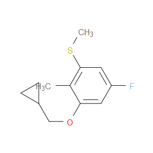 (3-(cyclopropylmethoxy)-5-fluoro-2-methylphenyl)(methyl)sulfane