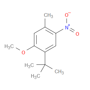 1-(1,1-Dimethylethyl)-2-methoxy-4-methyl-5-nitrobenzene