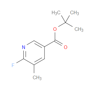 t-Butyl (2-fluoro-3-methyl-5-pyridine)ester