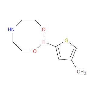Tetrahydro-2-(4-methyl-2-thienyl)-4H-1,3,6,2-dioxazaborocine