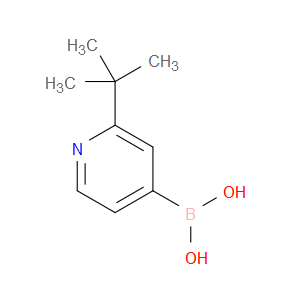 2-(Tert-butyl)pyridine-4-boronic acid