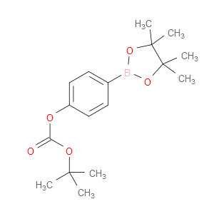 TERT-BUTYL-4-(4,4,5,5-TETRAMETHYL-1,3,2-DIOXABOROLAN-2-YL)PHENYLCARBONATE