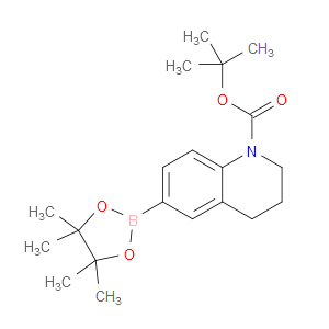 tert-butyl 6-(4,4,5,5-tetramethyl-1,3,2-dioxaborolan-2-yl)-3,4-dihydro-2H-quinoline-1-carboxylate