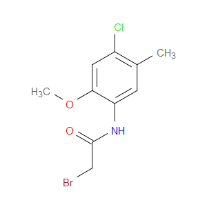 Acetamide, 2-bromo-N-(4-chloro-2-methoxy-5-methylphenyl)-