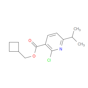 cyclobutylmethyl 2-chloro-6-isopropylnicotinate