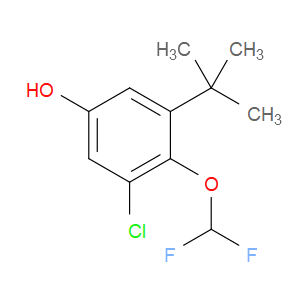 3-(tert-butyl)-5-chloro-4-(difluoromethoxy)phenol