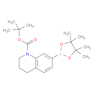 tert-butyl 7-(4,4,5,5-tetramethyl-1,3,2-dioxaborolan-2-yl)-3,4-dihydroquinoline-1(2H)-carboxylate