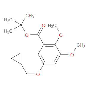 tert-butyl 5-(cyclopropylmethoxy)-2,3-dimethoxybenzoate