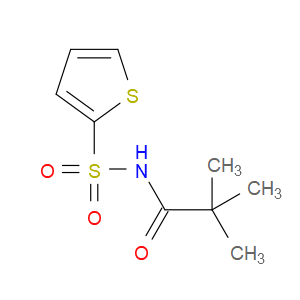 2,2-Dimethyl-N-(2-thienylsulfonyl)propanamide