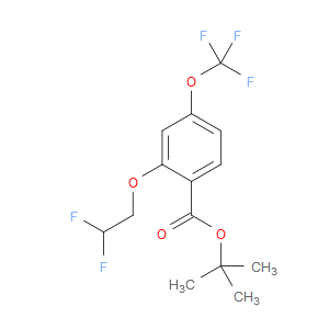 tert-butyl 2-(2,2-difluoroethoxy)-4-(trifluoromethoxy)benzoate