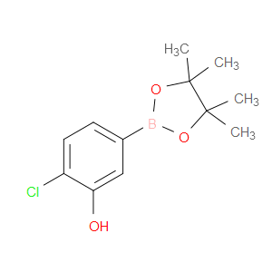4-Chloro-3-hydroxyphenylboronic acid pinacol ester