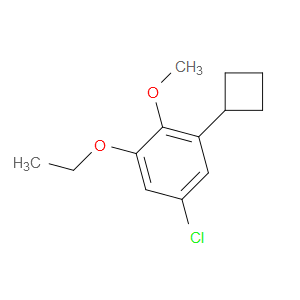 5-chloro-1-cyclobutyl-3-ethoxy-2-methoxybenzene