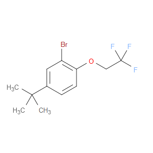 2-bromo-4-(tert-butyl)-1-(2,2,2-trifluoroethoxy)benzene