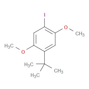 1-(1,1-Dimethylethyl)-4-iodo-2,5-dimethoxybenzene