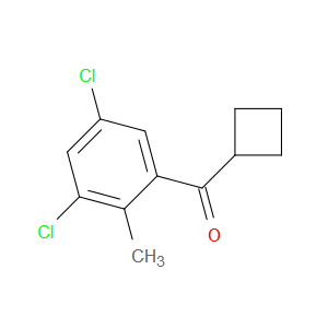 cyclobutyl(3,5-dichloro-2-methylphenyl)methanone