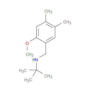 N-(1,1-Dimethylethyl)-2-methoxy-4,5-dimethylbenzenemethanamine