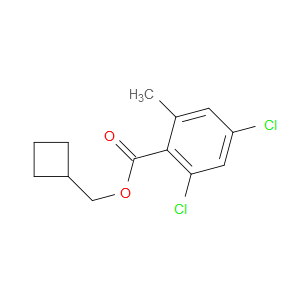 cyclobutylmethyl 2,4-dichloro-6-methylbenzoate
