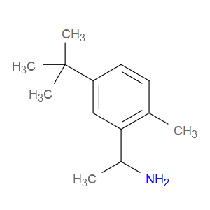 5-(1,1-Dimethylethyl)-α,2-dimethylbenzenemethanamine