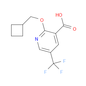 2-(cyclobutylmethoxy)-5-(trifluoromethyl)nicotinic acid