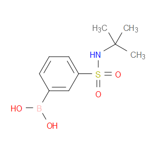 t-Butyl 3-boronobenzenesulfonamide
