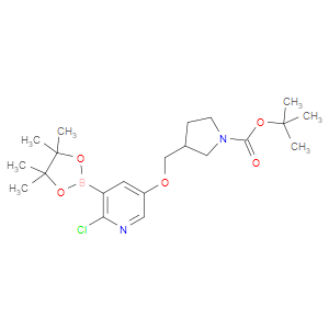 T-Butyl 3-((6-chloro-5-(4,4,5,5-tetramethyl-1,3,2-dioxaborolan-2-yl)pyridin-3-yloxy)methyl)pyrrolidine-1-carboxylate