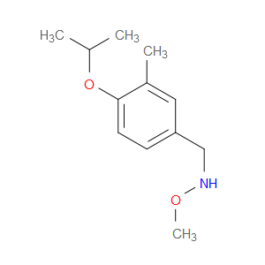 N-Methoxy-3-methyl-4-(1-methylethoxy)benzenemethanamine