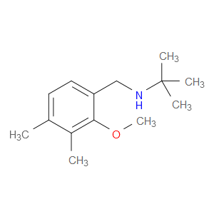 N-(1,1-Dimethylethyl)-2-methoxy-3,4-dimethylbenzenemethanamine