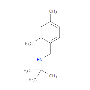 N-(1,1-Dimethylethyl)-2,4-dimethylbenzenemethanamine