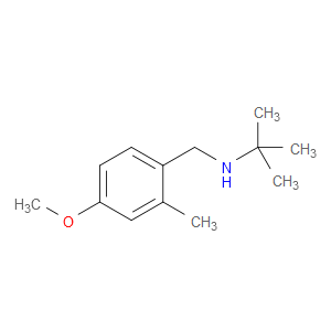 N-(1,1-Dimethylethyl)-4-methoxy-2-methylbenzenemethanamine