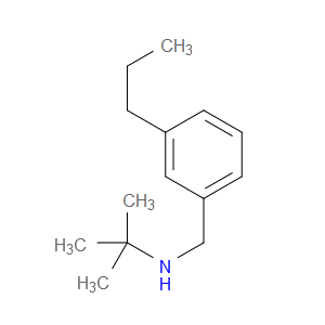 N-(1,1-Dimethylethyl)-3-propylbenzenemethanamine