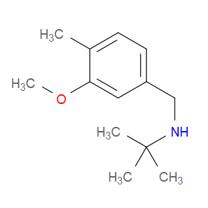 N-(1,1-Dimethylethyl)-3-methoxy-4-methylbenzenemethanamine