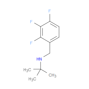 N-(1,1-Dimethylethyl)-2,3,4-trifluorobenzenemethanamine