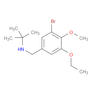 3-Bromo-N-(1,1-dimethylethyl)-5-ethoxy-4-methoxybenzenemethanamine