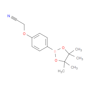 4-Cyanomethoxyphenylboronic acid, pinacol ester