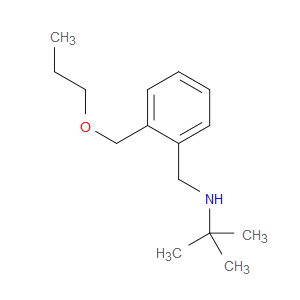 N-(1,1-Dimethylethyl)-2-(propoxymethyl)benzenemethanamine