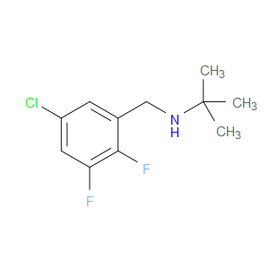 5-Chloro-N-(1,1-dimethylethyl)-2,3-difluorobenzenemethanamine