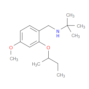 N-(1,1-Dimethylethyl)-4-methoxy-2-(1-methylpropoxy)benzenemethanamine