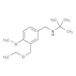 N-(1,1-Dimethylethyl)-3-(ethoxymethyl)-4-methoxybenzenemethanamine