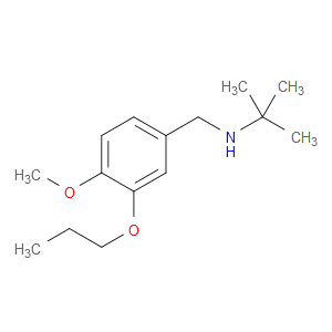 N-(1,1-Dimethylethyl)-4-methoxy-3-propoxybenzenemethanamine