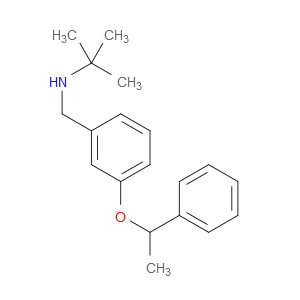N-(1,1-Dimethylethyl)-3-(1-phenylethoxy)benzenemethanamine