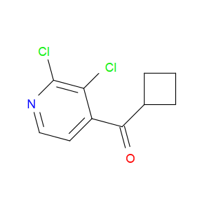 cyclobutyl(2,3-dichloropyridin-4-yl)methanone
